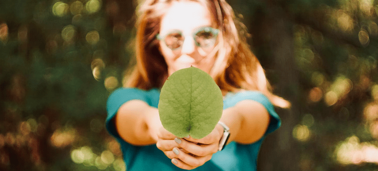 leaf